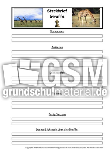 Giraffe-Steckbriefvorlage.pdf